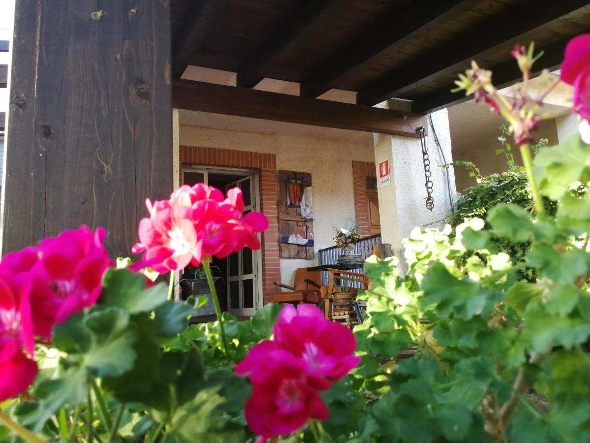 B&B Leggieri Villa Siria San Giovanni Rotondo Eksteriør billede